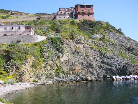 Intesa Dap-Parco Arcipelago Toscano per Gorgona