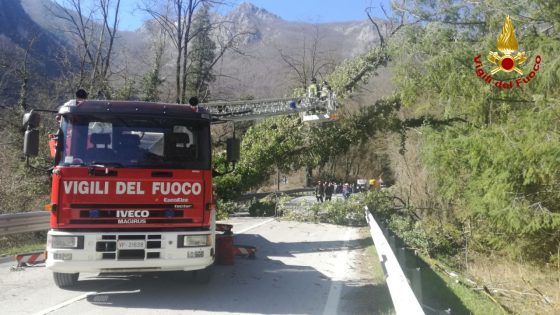 Cade albero, chiusa Ss 12 nel Pistoiese