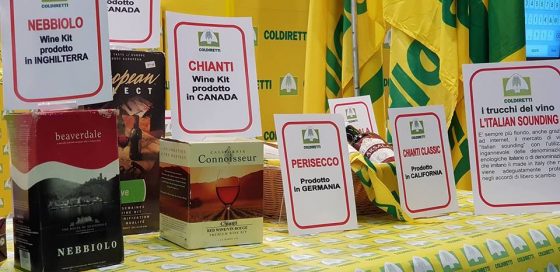 Vino, “fake” in bottiglia: un patrimonio da tutelare