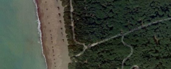 Castagneto C.cci: al via abbattimento ‘baracche’ abusive su spiaggia