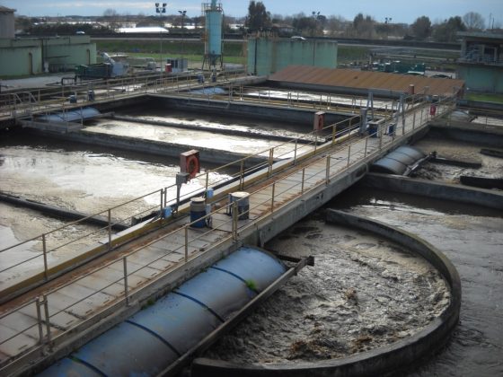Camaiore (Lucca), Arpat: “Valori elevatissimi di Escherichia coli” in acque depuratore
