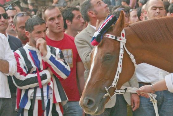 Palio Siena: modifica a circolare Gabrielli, contradaioli potranno stare vicino ai cavalli