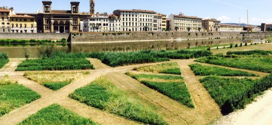 Firenze: labirinto verde in riva d’Arno diventa un’opera d’arte