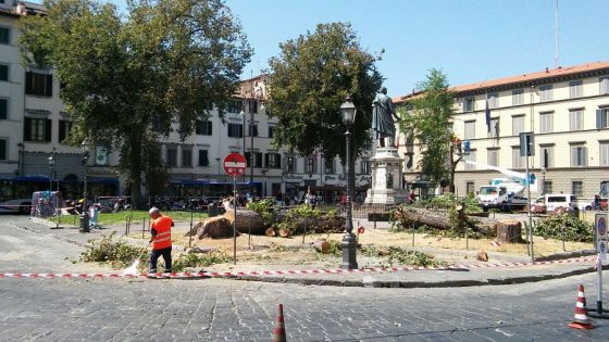 Alberi, Firenze: sette dirigenti a giudizio per scarsa manutenzione