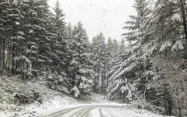 Neve in alto Mugello, Amiata e passi Aretini: due tir fuori strada