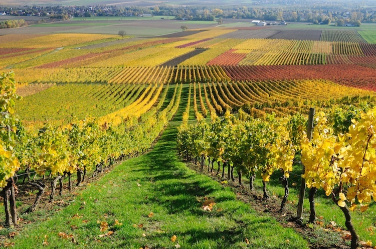 montecucco