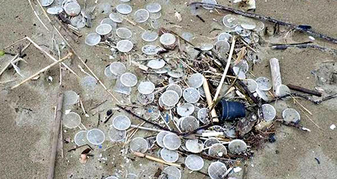 Anche su spiagge toscane i misteriosi dischetti di plastica