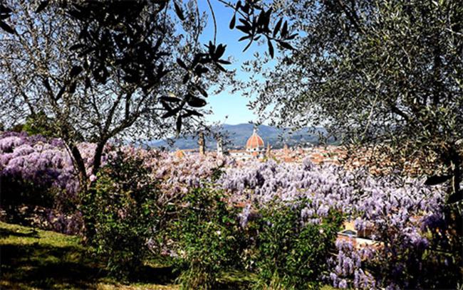 Giardino del'Iris