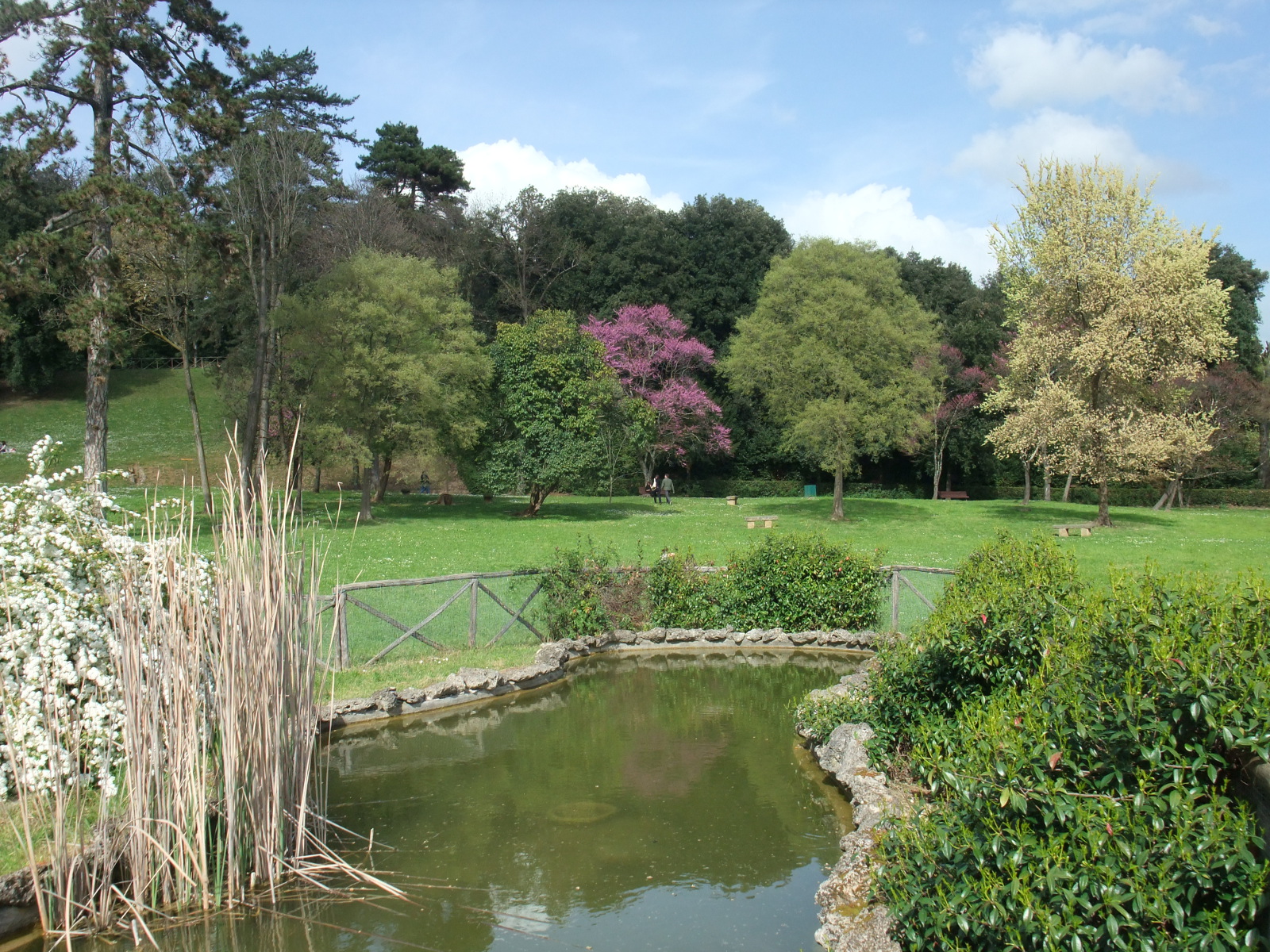 Riapre al pubblico l’area del Parco di Villa il Ventaglio (Fi)