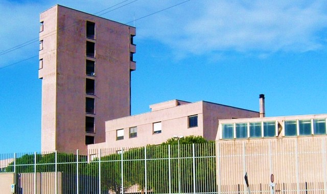 sughere livorno
