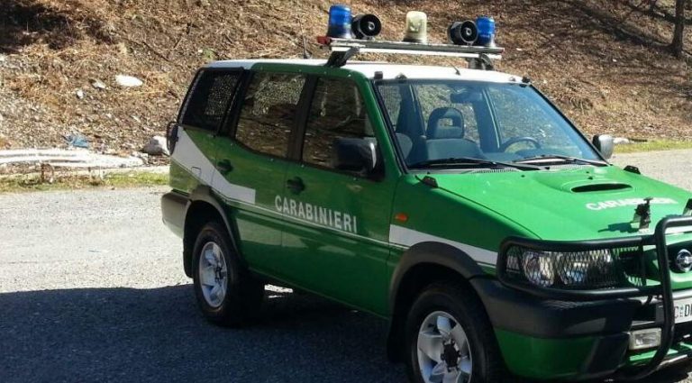 Trovata morta comandante carabinieri forestale di Siena