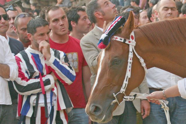 Palio Siena