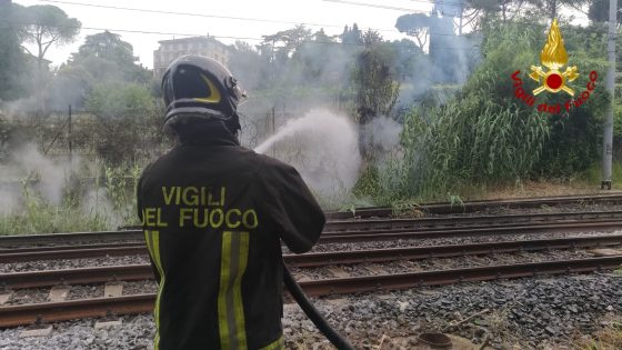 Incendio presso il giardino dell’orticultura