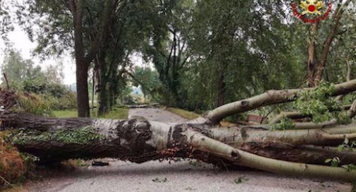 Maltempo: alberi caduti e allagamenti del fiorentino  e nel pisano