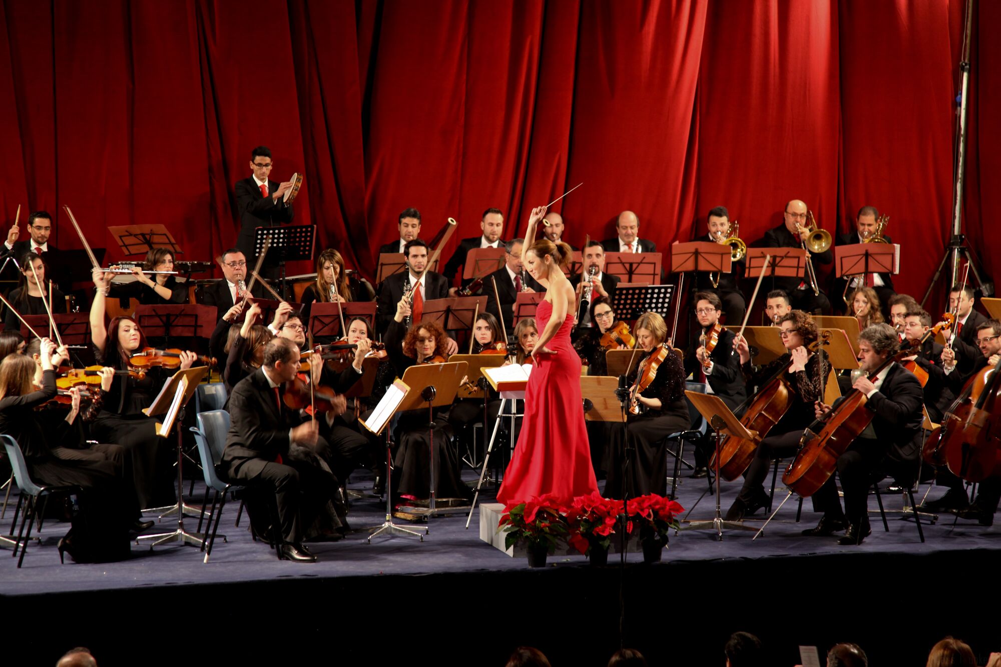 concerto