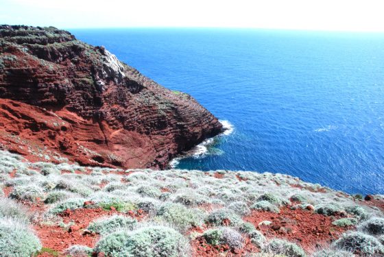 Isole covid free: Capraia, al via campagna vaccinale