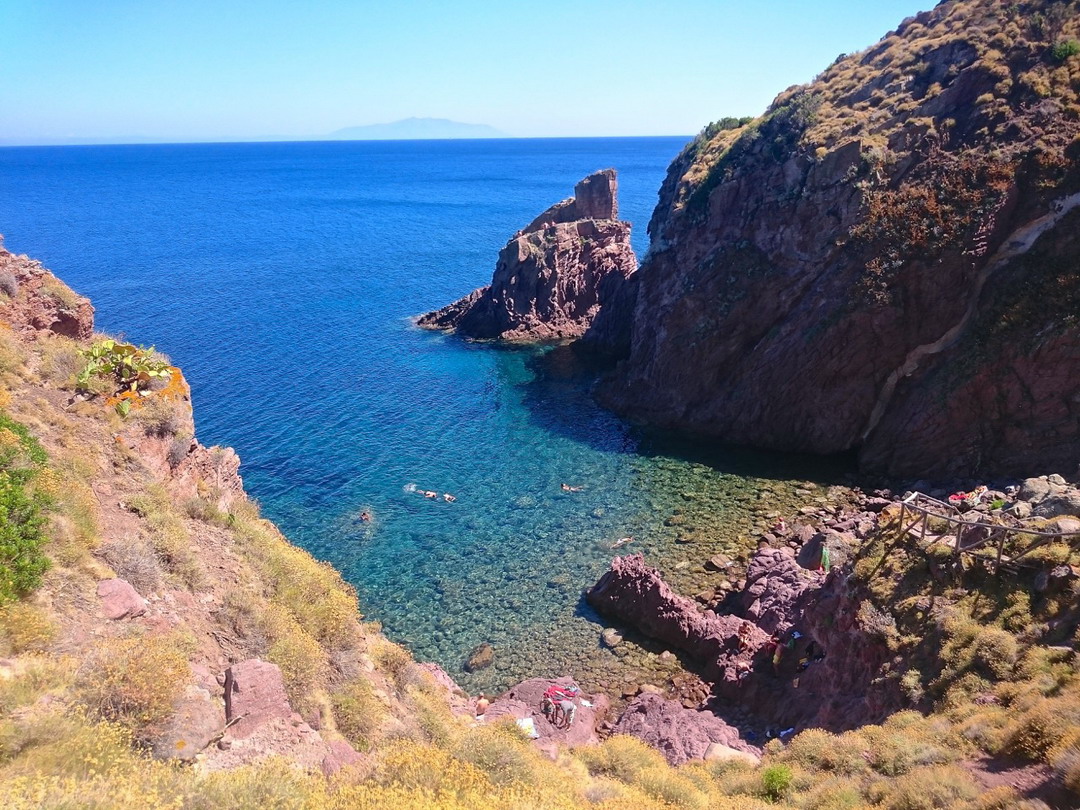 capraia falco pellegrino