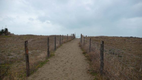 Ferragosto: divieto di contenitori in vetro alle ”dune” di Forte Marmi