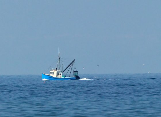 Toscana, pesca: aumentato livello limite prelievo trote