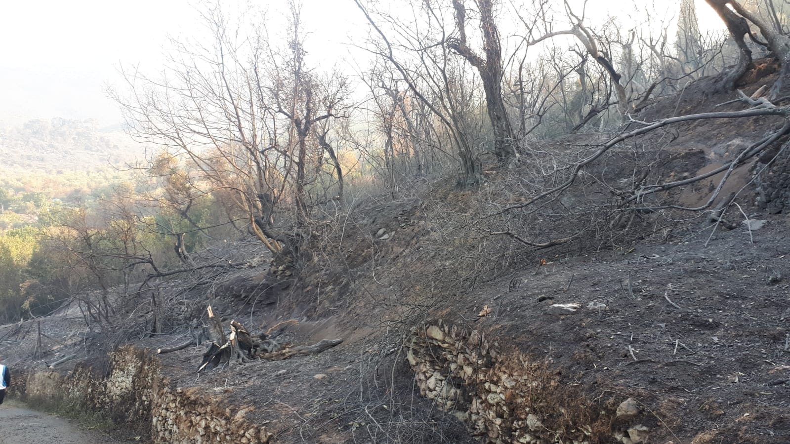 incendi