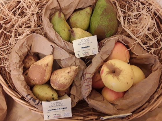 Agrobiodiversità, ad Alberese torna la ‘Mostra Mercato del Coltivatore Custode’