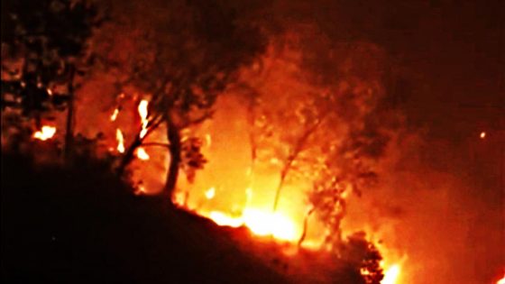 Incendi Monte Serra: da Regione Toscana 1,5 mln di euro