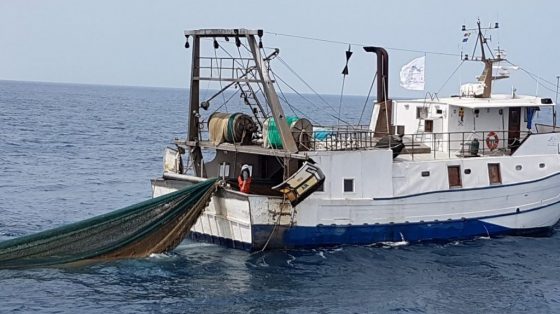 Livorno, premiati pescatori: in 6 mesi raccolti 16 quintali di plastica