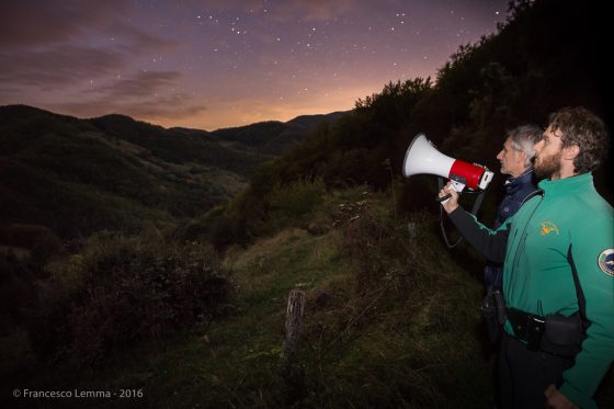 Un fine settimana nel parco nazionale delle Foreste casentinesi