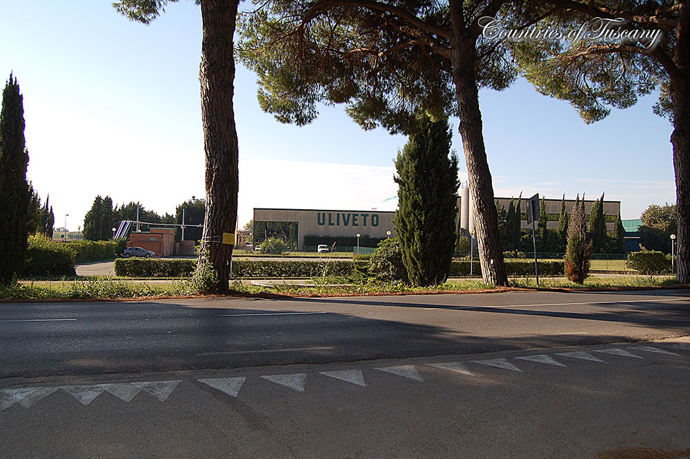 Uliveto