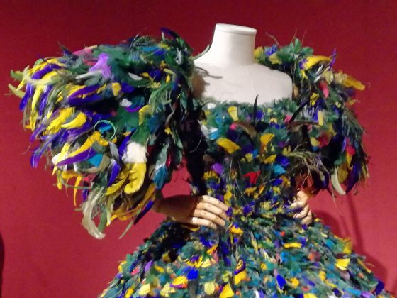 Animalia Fashion