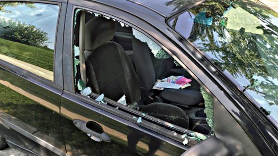 Vandalizzate decine di automobili, un fermato