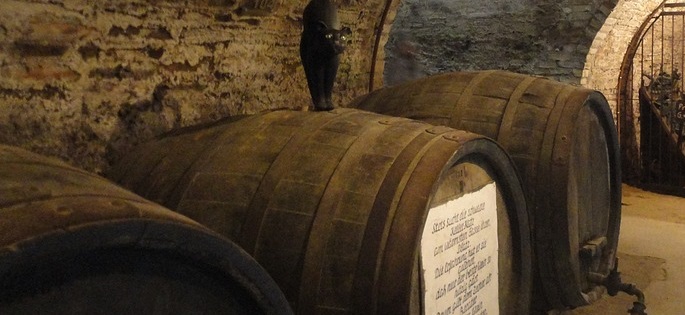 cantina vino
