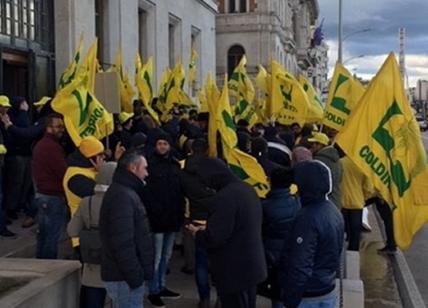 olivocoltori di coldiretti