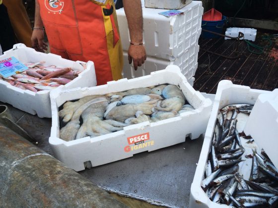 Controlli dei Nas, 2 mila kg di cibo sequestrati