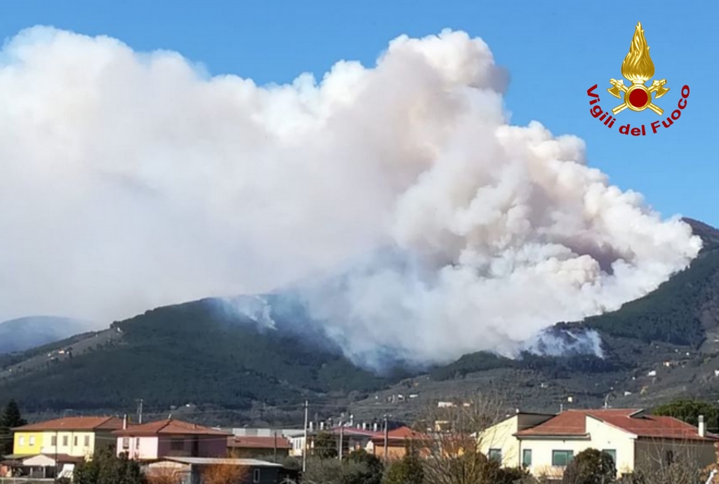 Taglioli