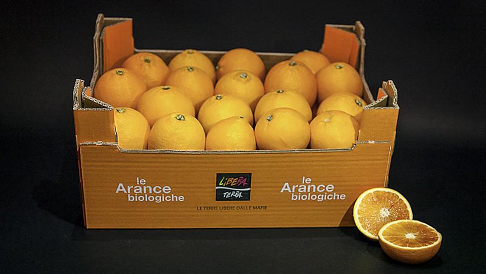 Vitamine per la scuola