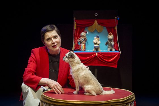 Pistoia: Isabella Rossellini al Funaro con Link Link Circus