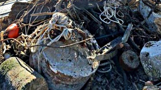Pulizia fondali all’Elba, rimossi ormeggi abusivi