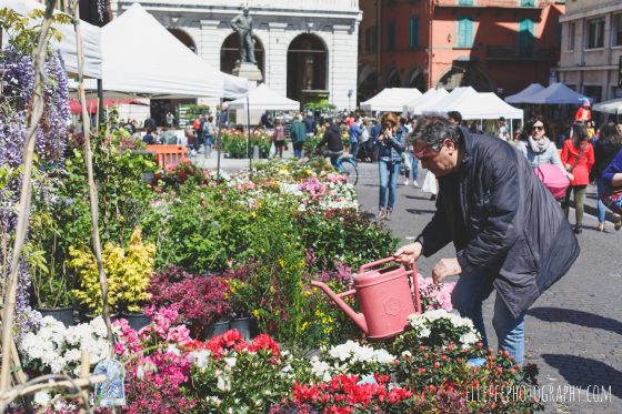 Pisa: torna “Fior di città”