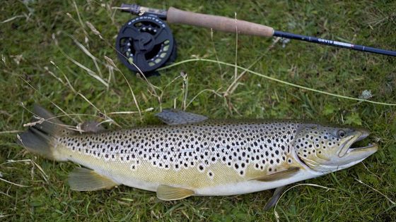Toscana, pesca: aumentato livello limite prelievo trote