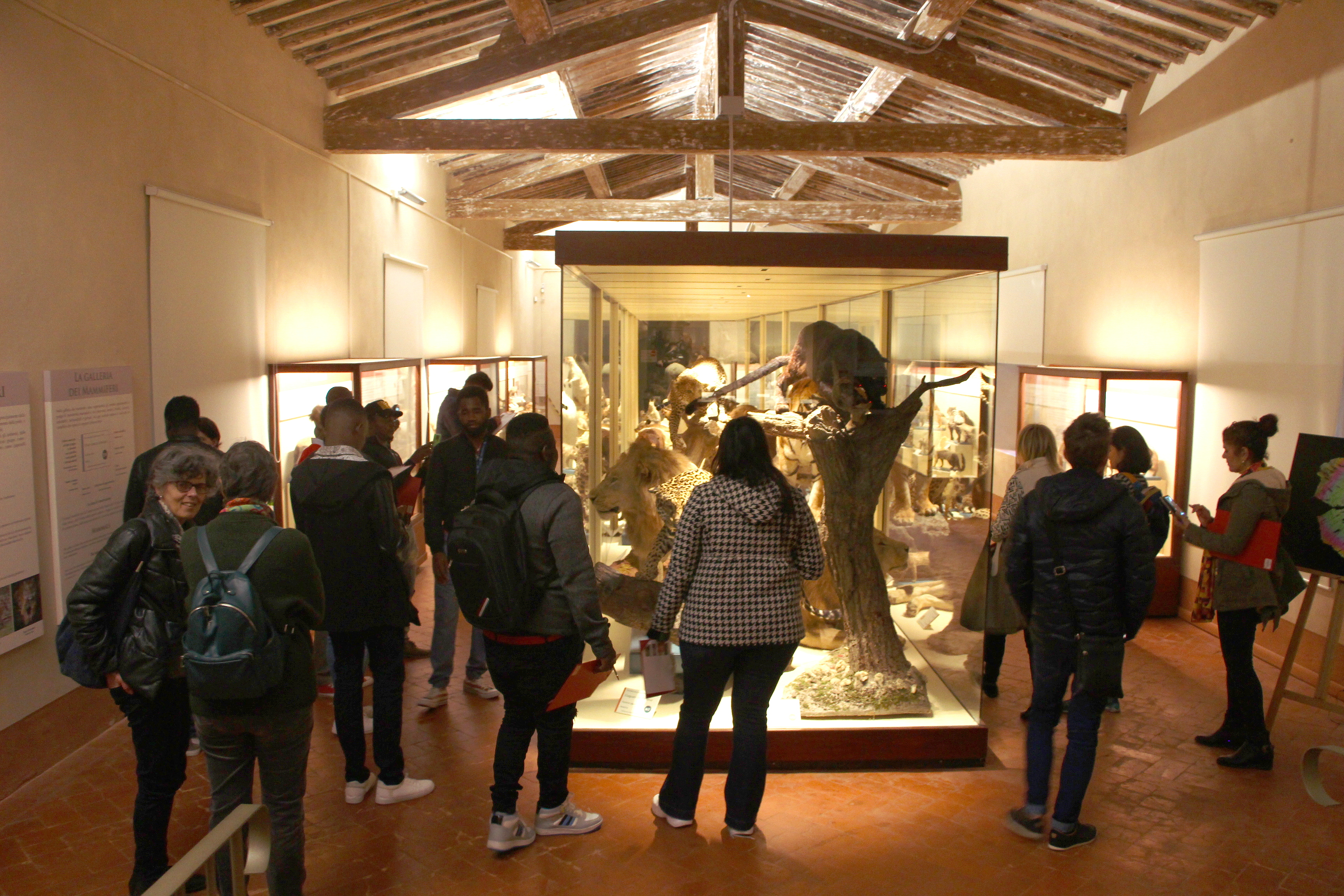 Calci, studenti stranieri: visita al ‘Museo di Storia Naturale’ nel segno dell’integrazione