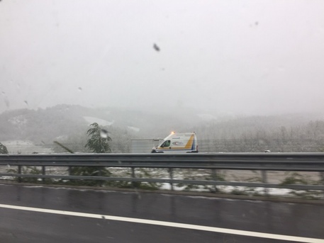 maltempo: tromba d'aria in VErsilia