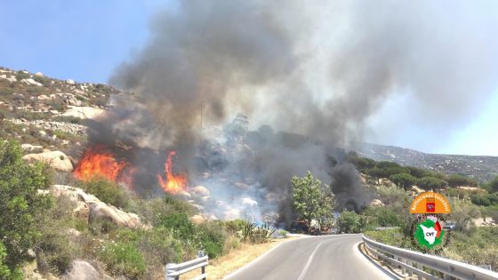 Costa Grosseto: via libera piano regionale prevenzione antincendi pinete