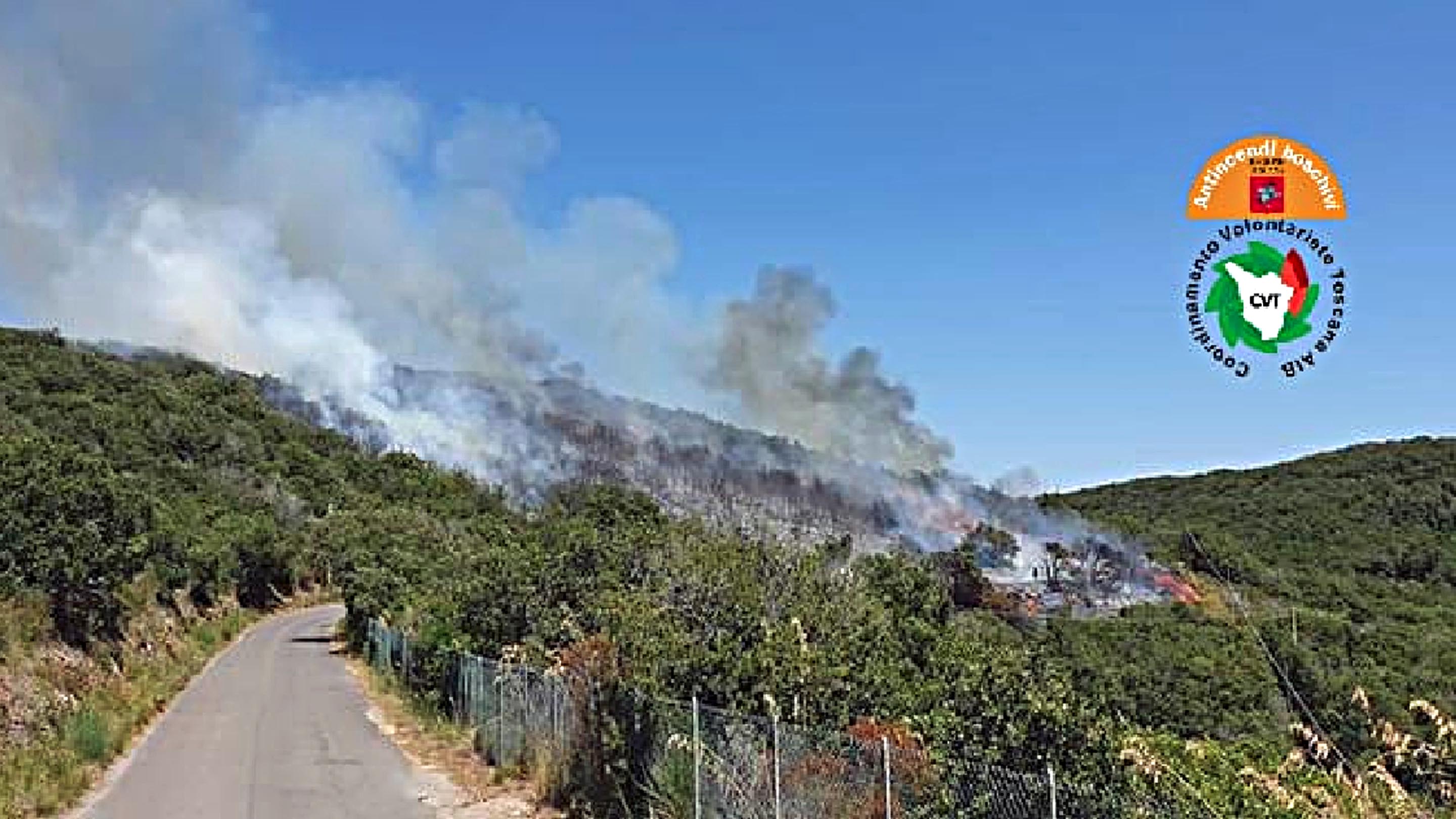 Incendi boschivi