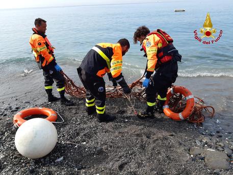 Delfini spiaggiati, in Toscana 4 casi in pochi giorni