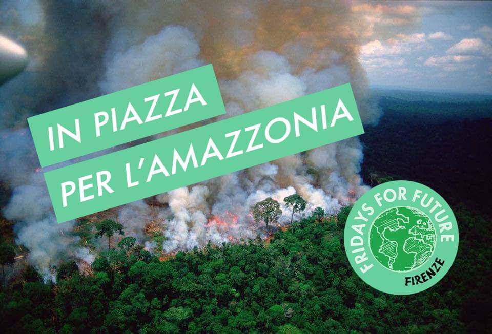 Friday For Future Amazzonia