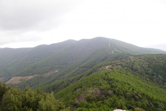 Installate telecamere per monitorare Monte Pisano