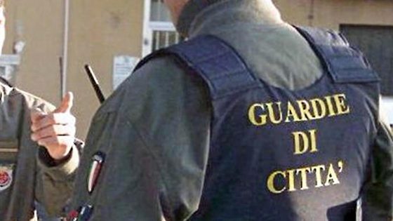 Siulp, Sindacato Polizia di Stato, scettico su uso vigilanti