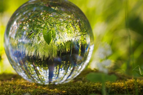 Approvata mozione per emergenza climatica e ambientale