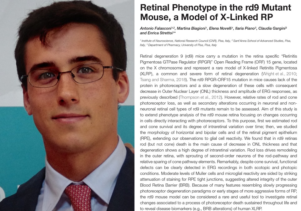 retinite